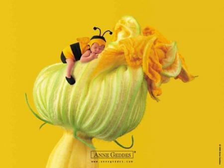 Anne geddes
